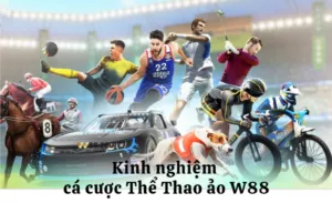 kinh nghiệm cá cược thể thao ảo w88