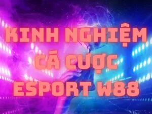 kinh nghiệm cá cược esport w88 từ những cao thủ